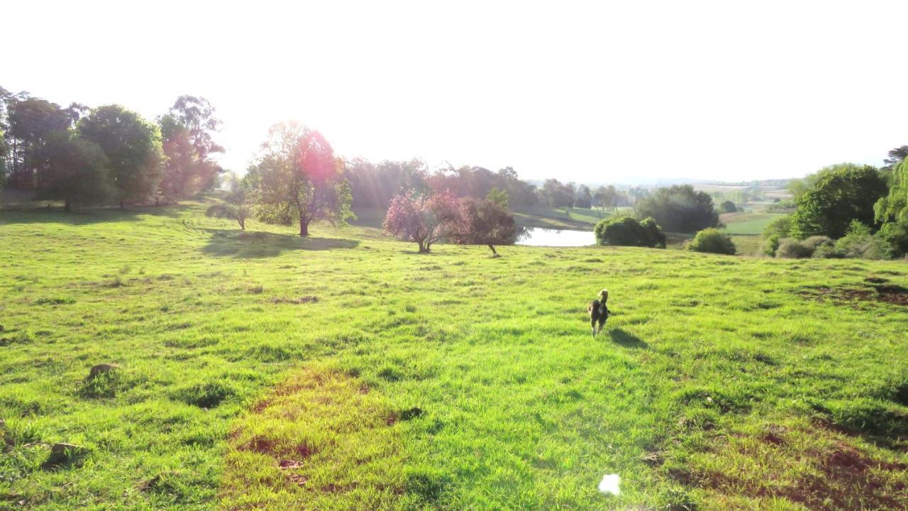 Old Inchgarth Farmstay Himeville Dış mekan fotoğraf